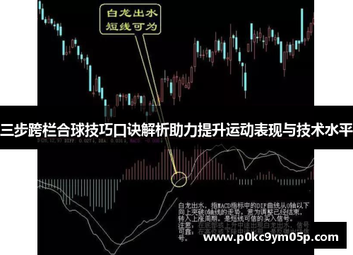 三步跨栏合球技巧口诀解析助力提升运动表现与技术水平