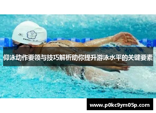 仰泳动作要领与技巧解析助你提升游泳水平的关键要素