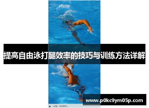 提高自由泳打腿效率的技巧与训练方法详解