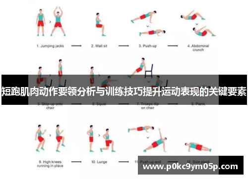 短跑肌肉动作要领分析与训练技巧提升运动表现的关键要素