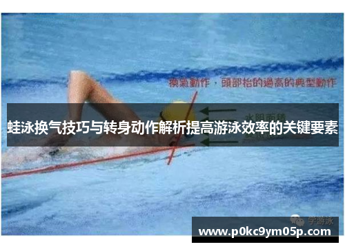 蛙泳换气技巧与转身动作解析提高游泳效率的关键要素